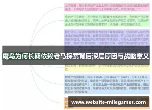 魔鸟为何长期依赖老马探索背后深层原因与战略意义